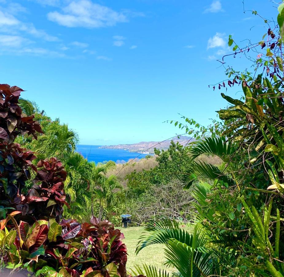Lodge Colibris Piscine Privee Vue Panoramique Mer Et Montagne Pelee , 500 M Plage Dans Un Parc , Calme Assure Ideal Pour Decouvrir Le Nord Caraibes Le Carbet Eksteriør bilde