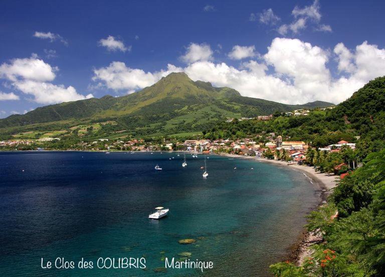 Lodge Colibris Piscine Privee Vue Panoramique Mer Et Montagne Pelee , 500 M Plage Dans Un Parc , Calme Assure Ideal Pour Decouvrir Le Nord Caraibes Le Carbet Eksteriør bilde