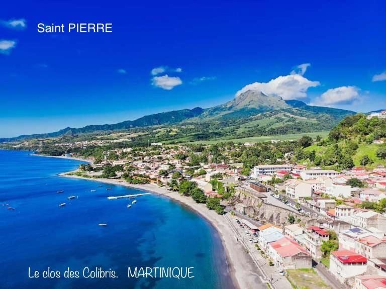 Lodge Colibris Piscine Privee Vue Panoramique Mer Et Montagne Pelee , 500 M Plage Dans Un Parc , Calme Assure Ideal Pour Decouvrir Le Nord Caraibes Le Carbet Eksteriør bilde